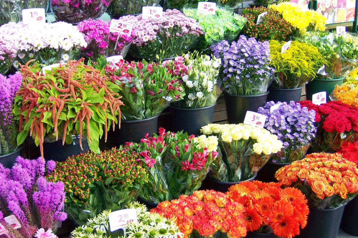 Rose zet bloemetjes buiten met Gay Pride